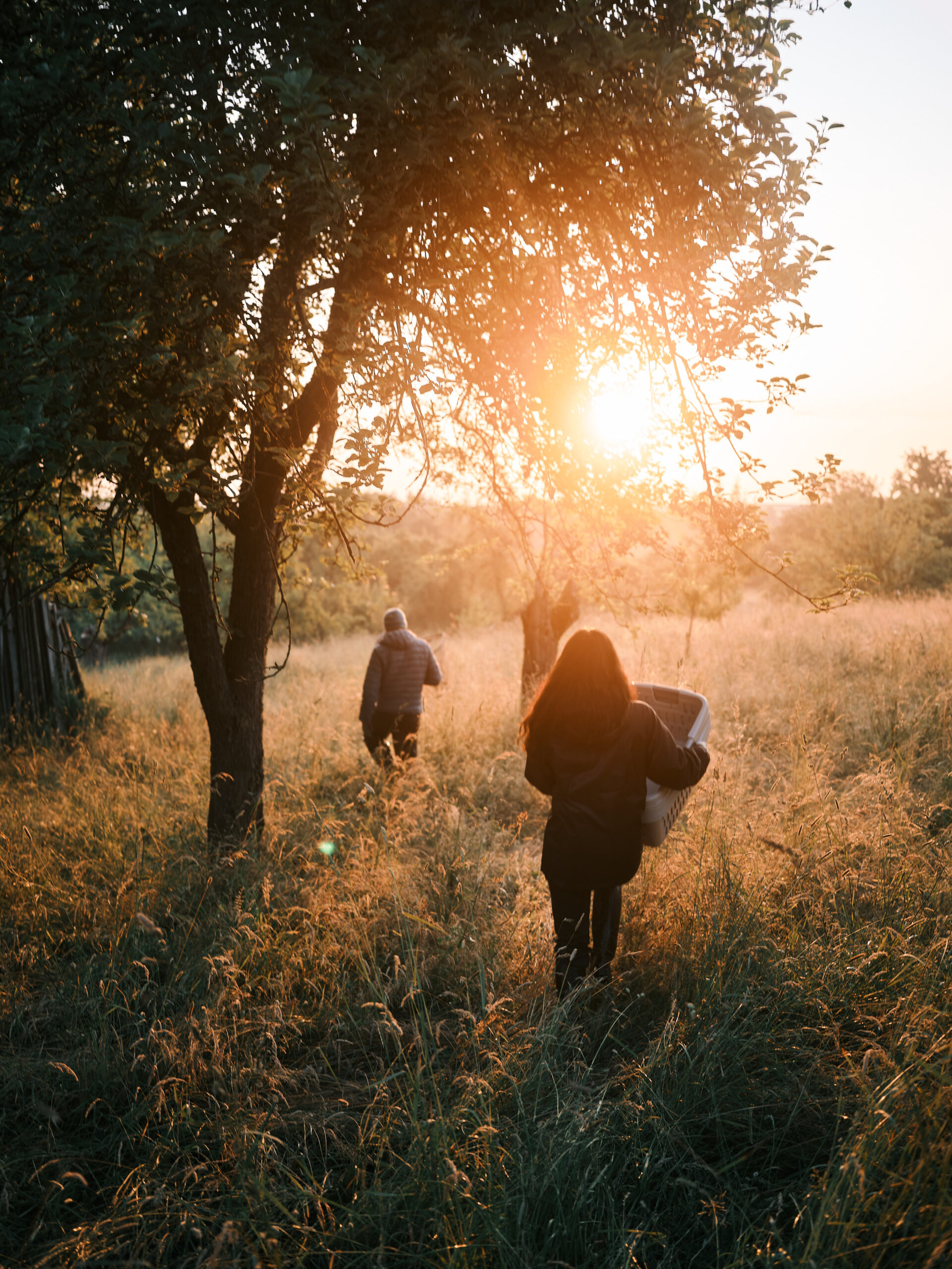 services-01 23 2FX4489 Scaled